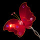 Magical Butterfly - 20 Lamps<br />Rainbow Colours